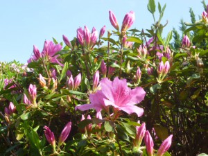 P1010080
